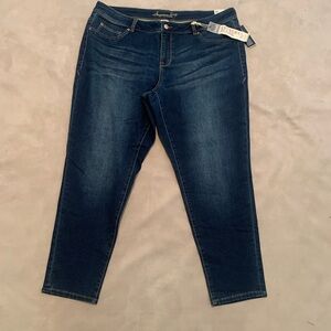 Denim Jegging Jeans- size 18W